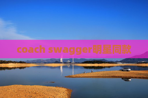coach swagger明星同款